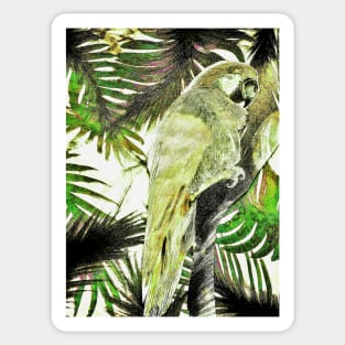 TROPICAL PARROT VINTAGE STYLE POSTER,DECO MACAW KHAKI GREEN ART PRINT Sticker